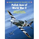 Polish Aces of World War 2