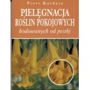Pielęgnacja roślin pokojowych hodowanych od pestki