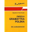 Zwięzła gramatyka polska dla cudzoziemców